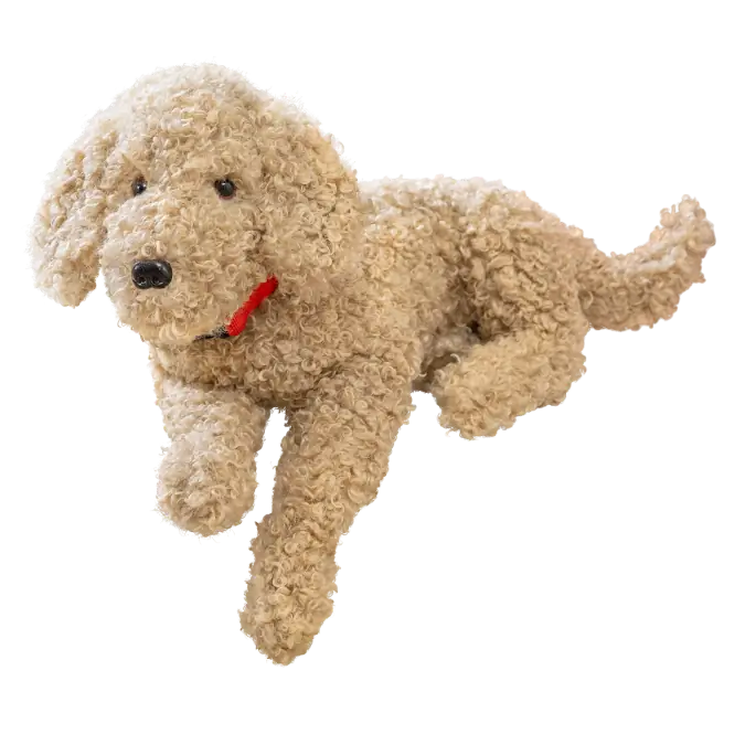 Goldie Faux Sherpa Doodle Dog